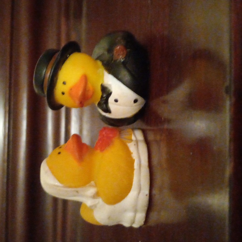 Duck bride & groom
